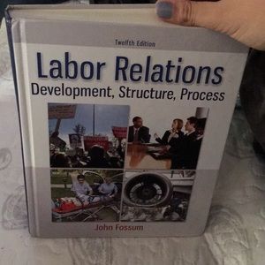 Labor relations, Development, Structure, Process